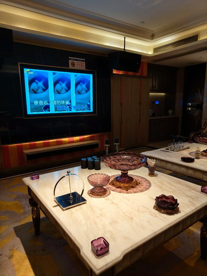 广州商务ktv创新商务ktv模式解析-花都区ktv预定